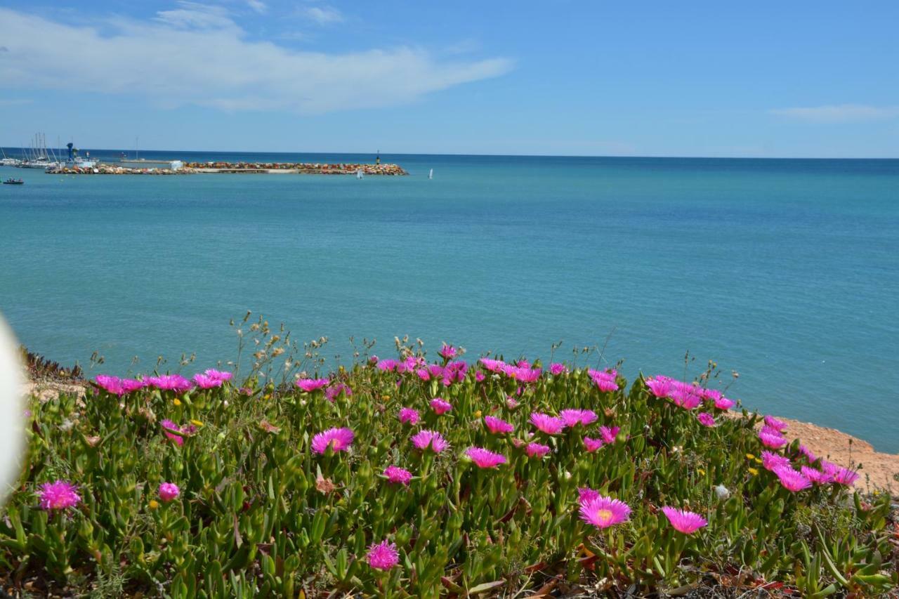 El Apartamento De Papa - Mil Palmeras Dehesa de Campoamor  Exteriér fotografie